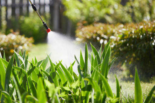 24/7 Emergency Mosquito Control experts in Lynn, IN